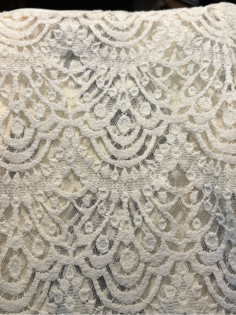 Banana Republic Ivory Crochet Lace Long Sleeve Top - Picture 12 of 13